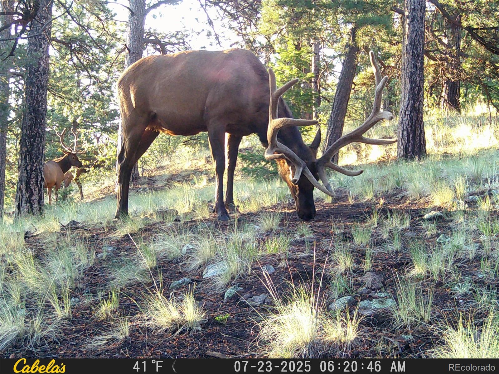 MLS Image #42 for 9100  county rd 102 ,guffey, Colorado