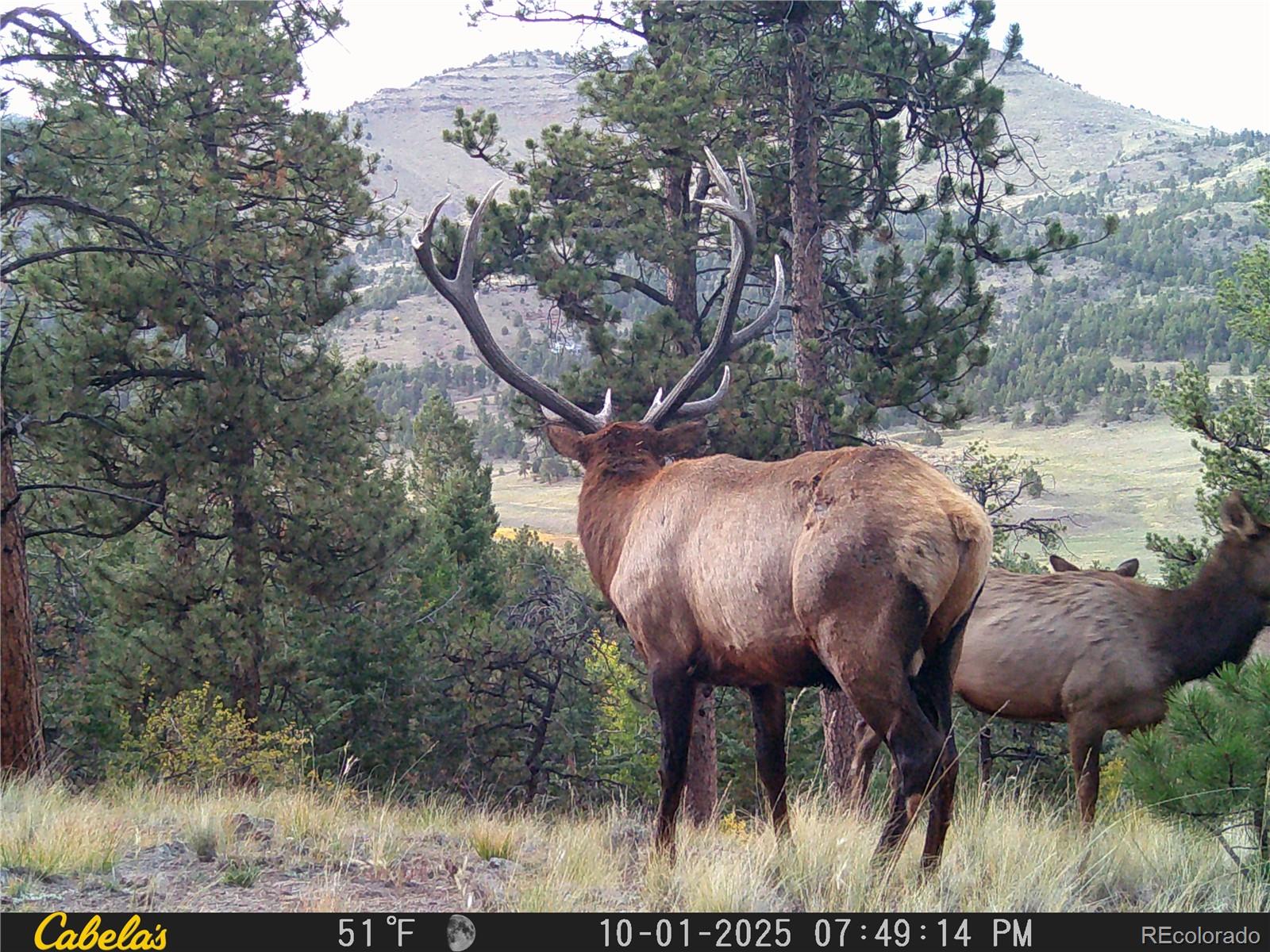 MLS Image #46 for 9100  county rd 102 ,guffey, Colorado
