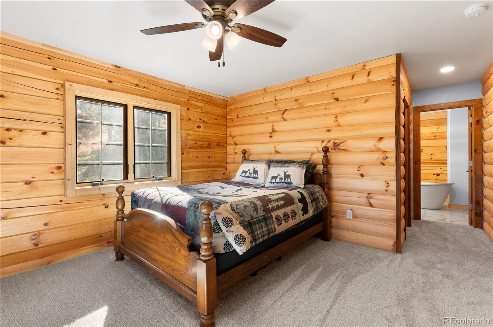 MLS Image #7 for 9100  county rd 102 ,guffey, Colorado