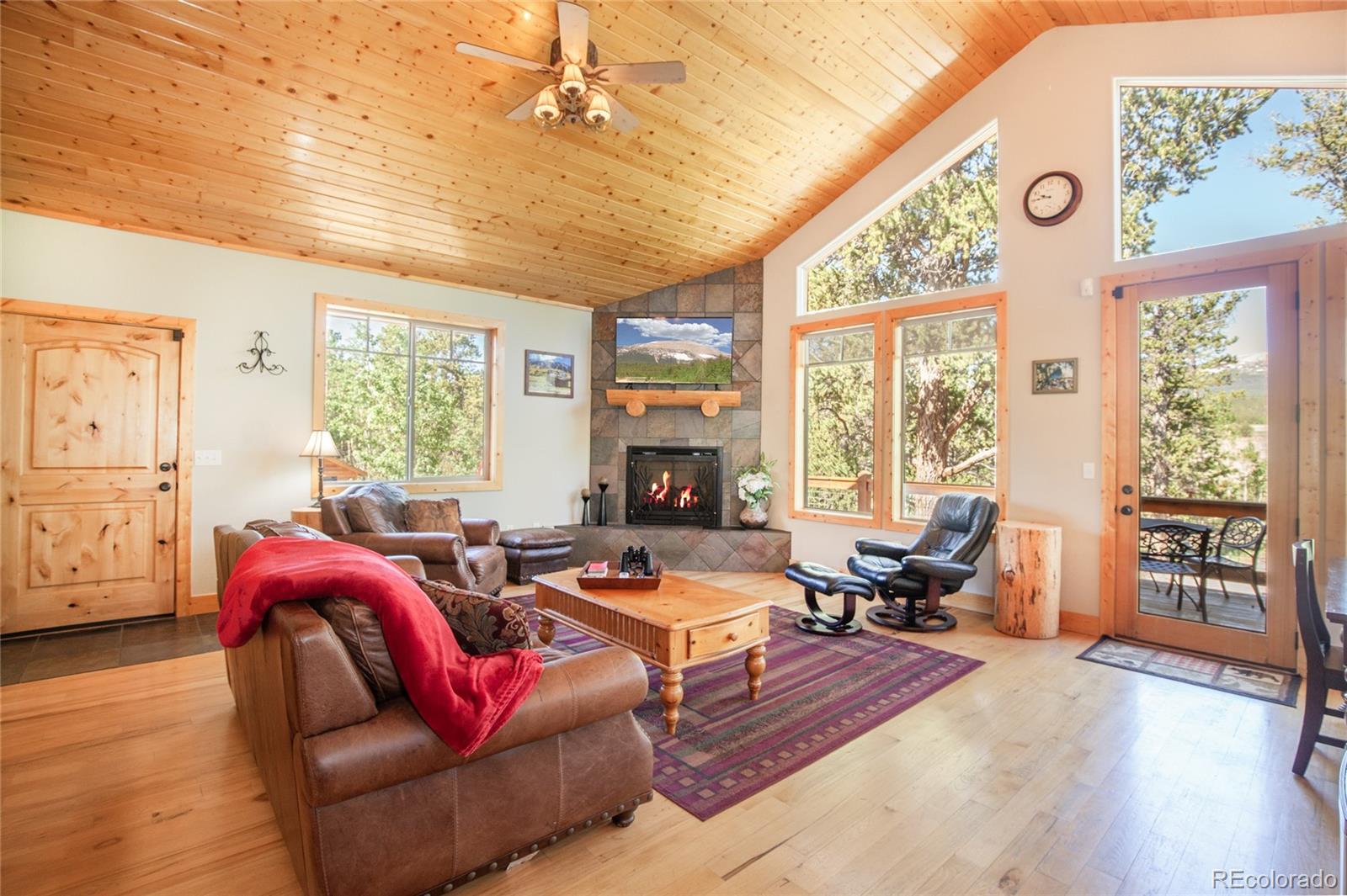 MLS Image #10 for 416  foxtail drive,fairplay, Colorado