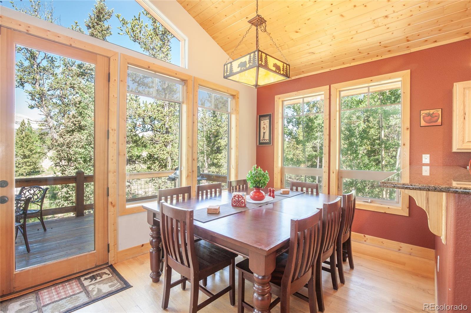 MLS Image #13 for 416  foxtail drive,fairplay, Colorado
