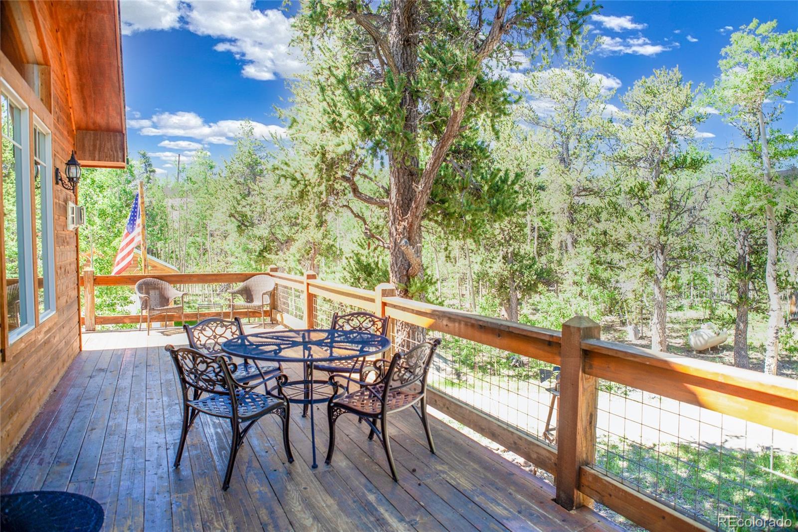 MLS Image #14 for 416  foxtail drive,fairplay, Colorado