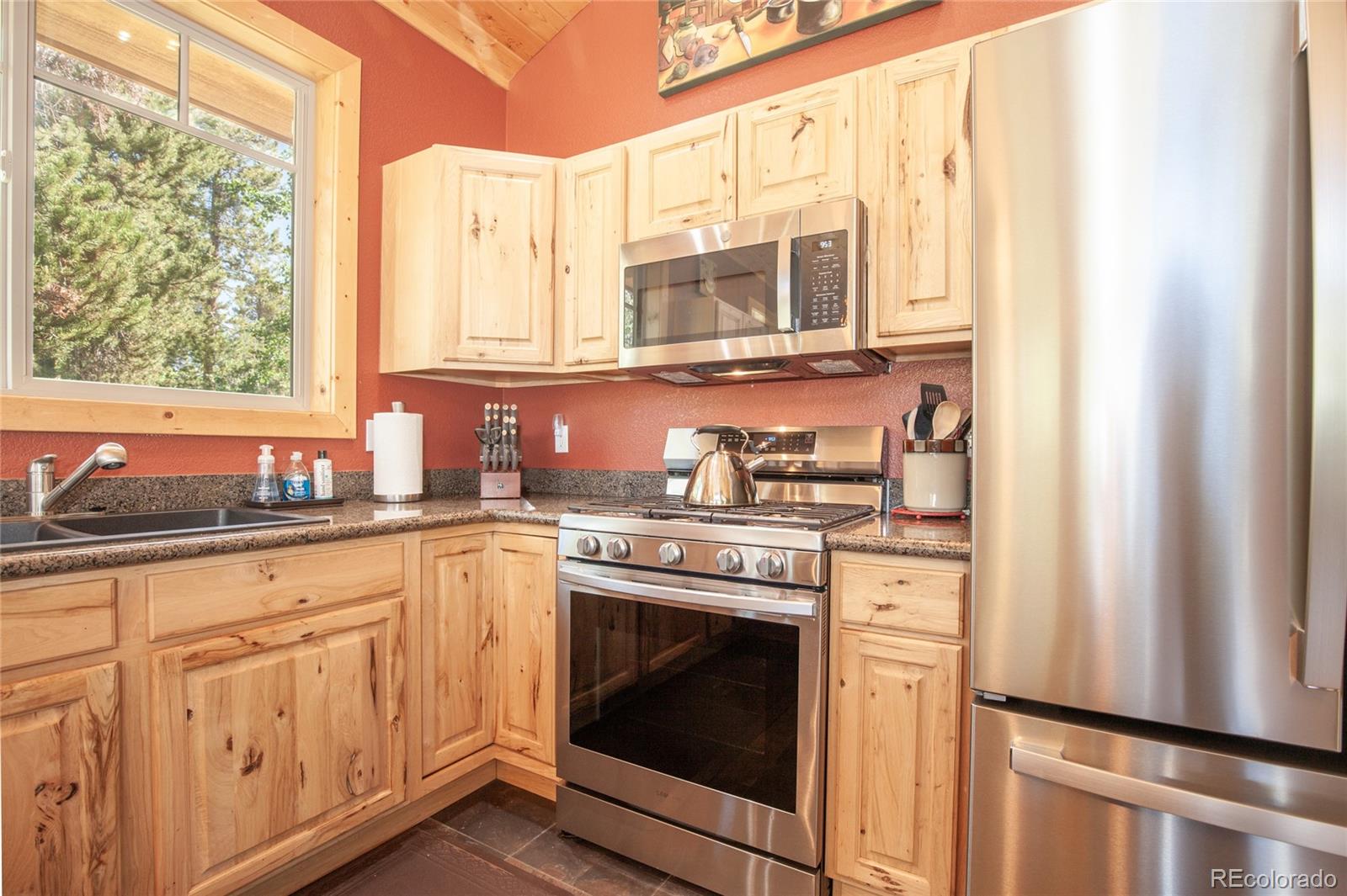 MLS Image #17 for 416  foxtail drive,fairplay, Colorado