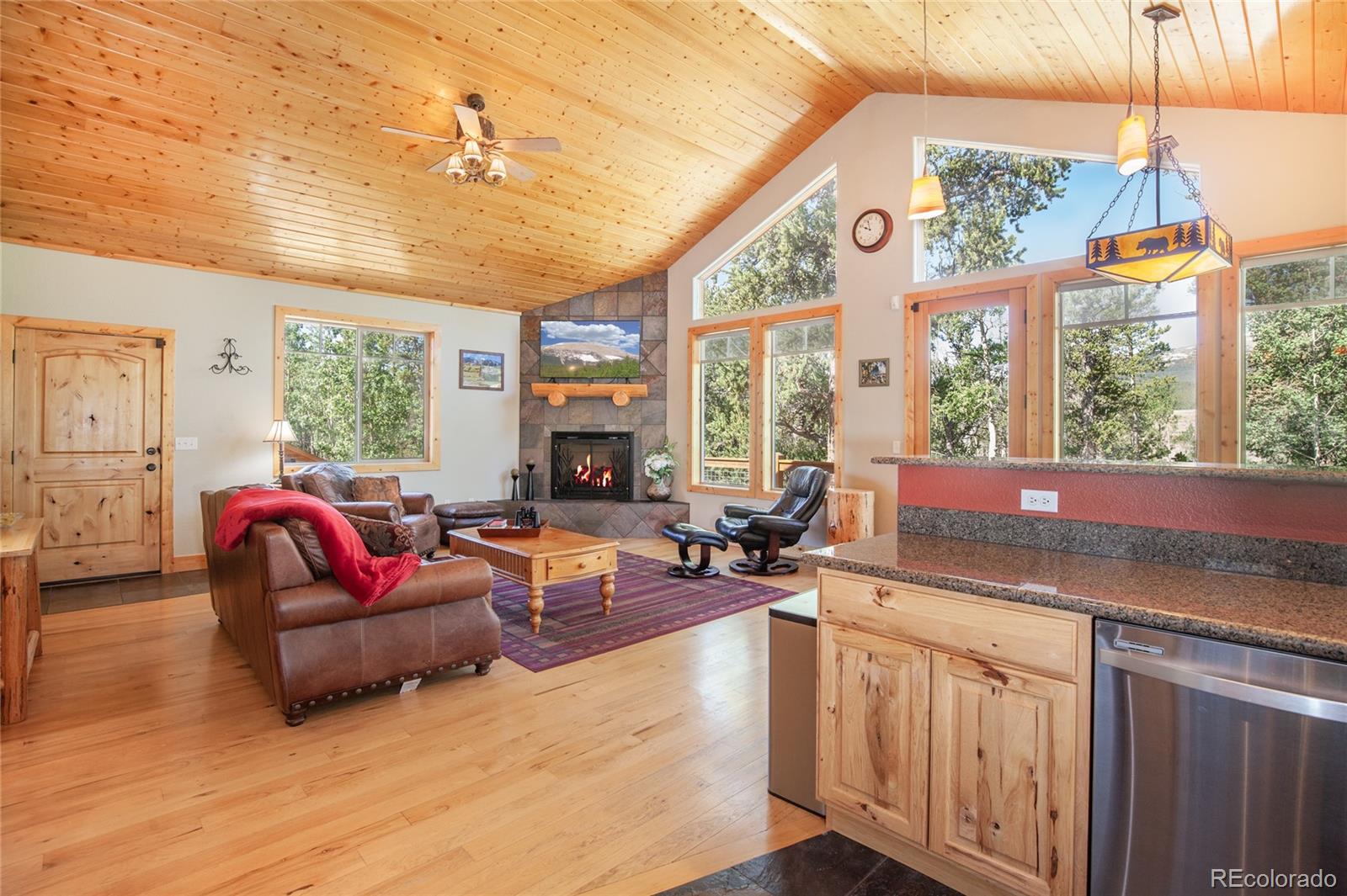 MLS Image #18 for 416  foxtail drive,fairplay, Colorado