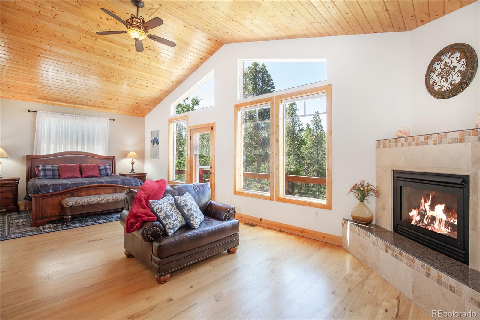 MLS Image #21 for 416  foxtail drive,fairplay, Colorado