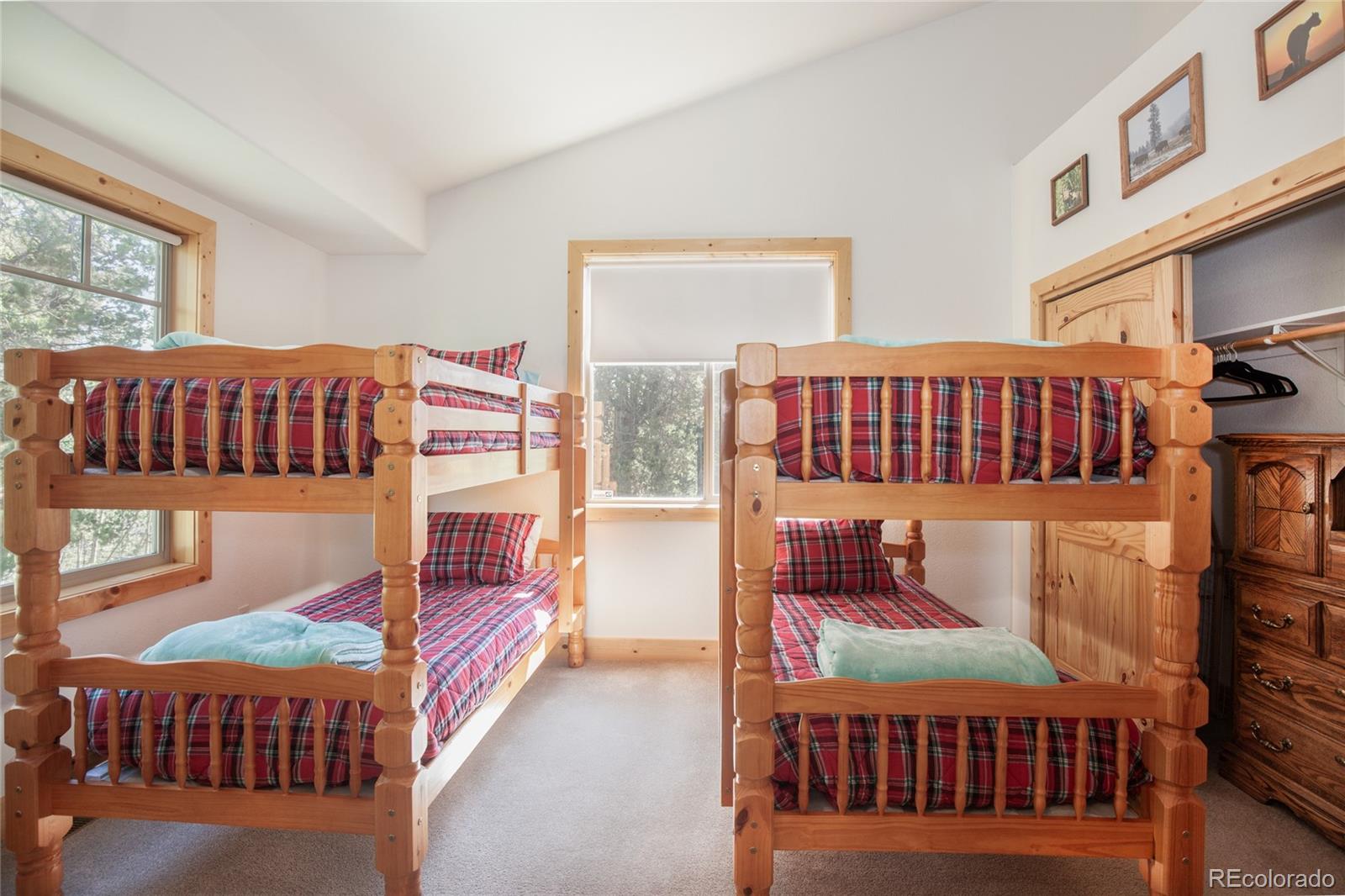 MLS Image #30 for 416  foxtail drive,fairplay, Colorado