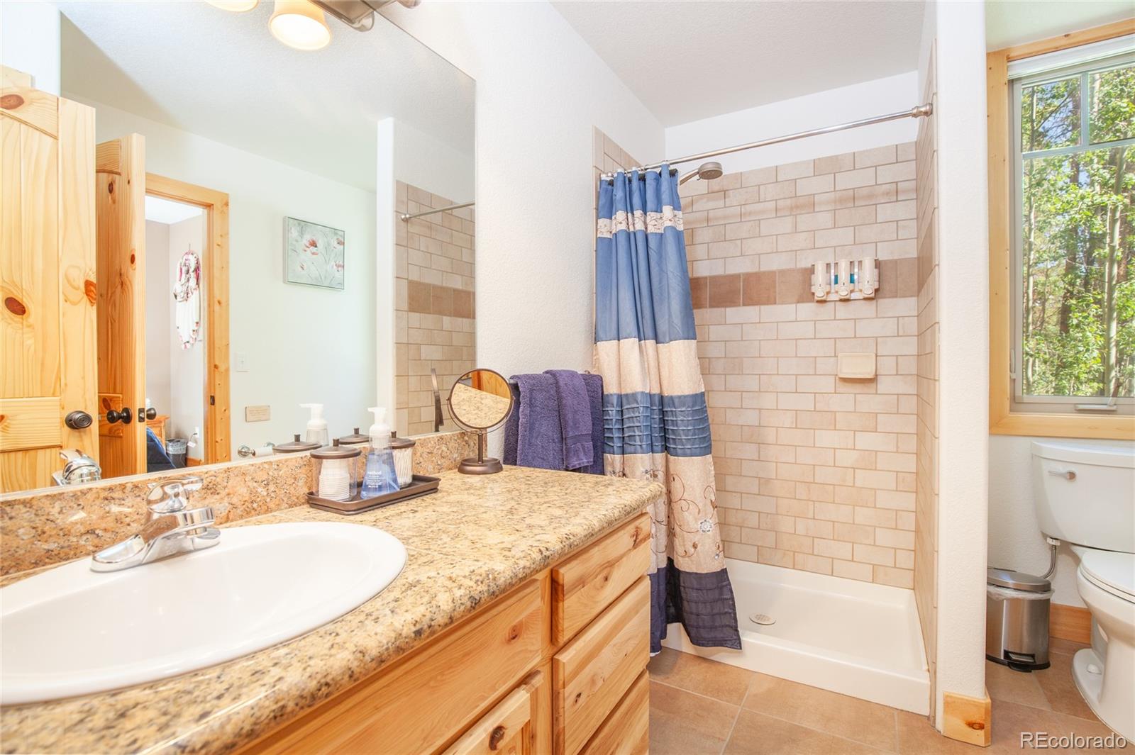 MLS Image #41 for 416  foxtail drive,fairplay, Colorado