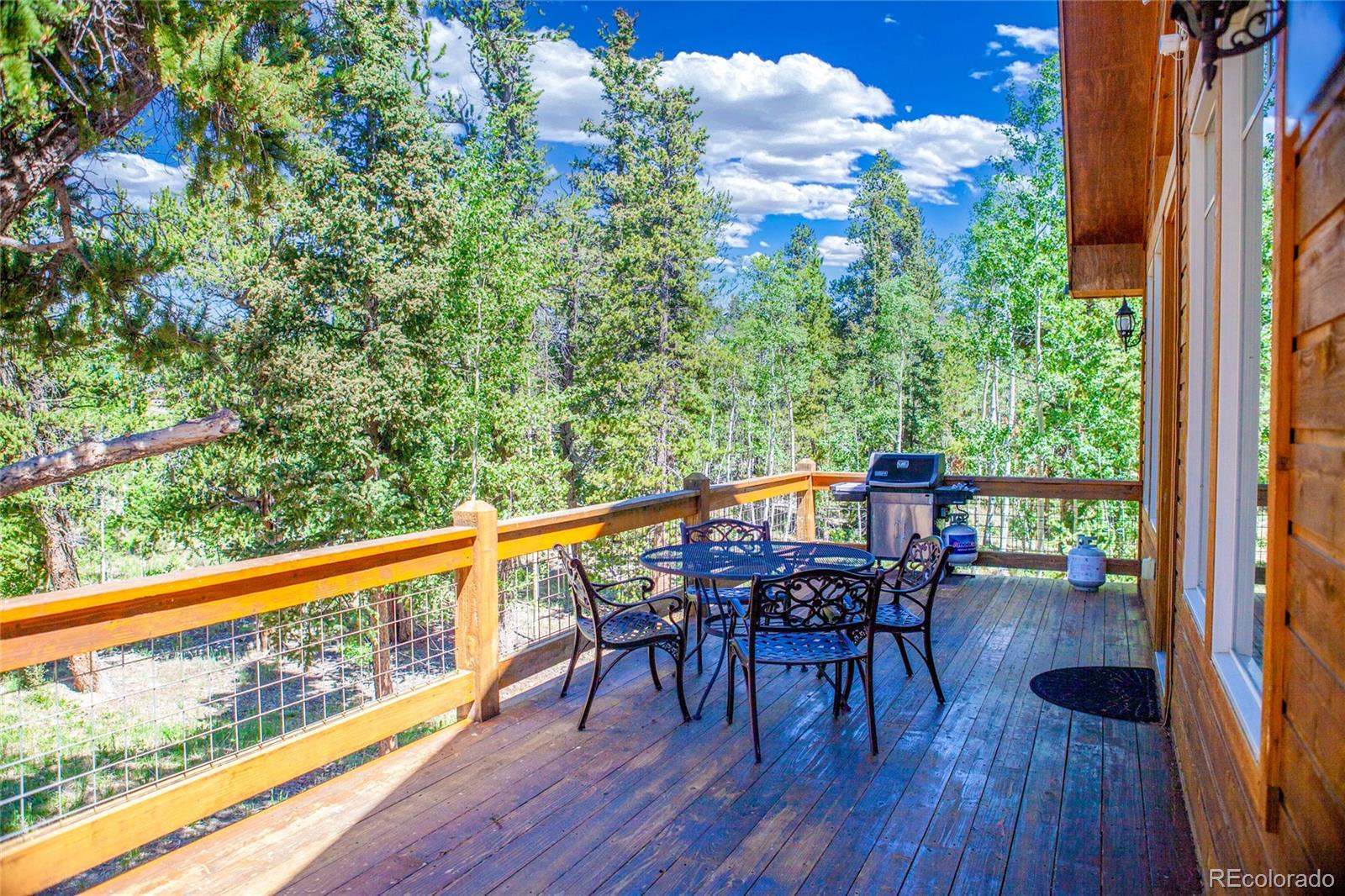 MLS Image #48 for 416  foxtail drive,fairplay, Colorado