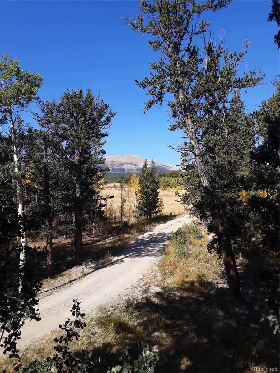 MLS Image #6 for 416  foxtail drive,fairplay, Colorado