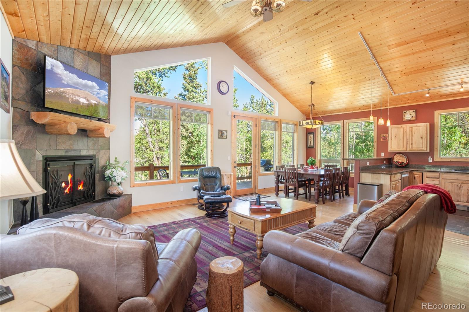 MLS Image #8 for 416  foxtail drive,fairplay, Colorado
