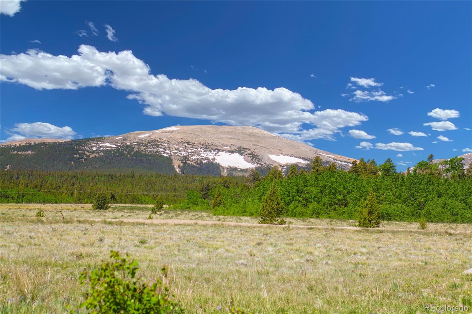 MLS Image #9 for 416  foxtail drive,fairplay, Colorado