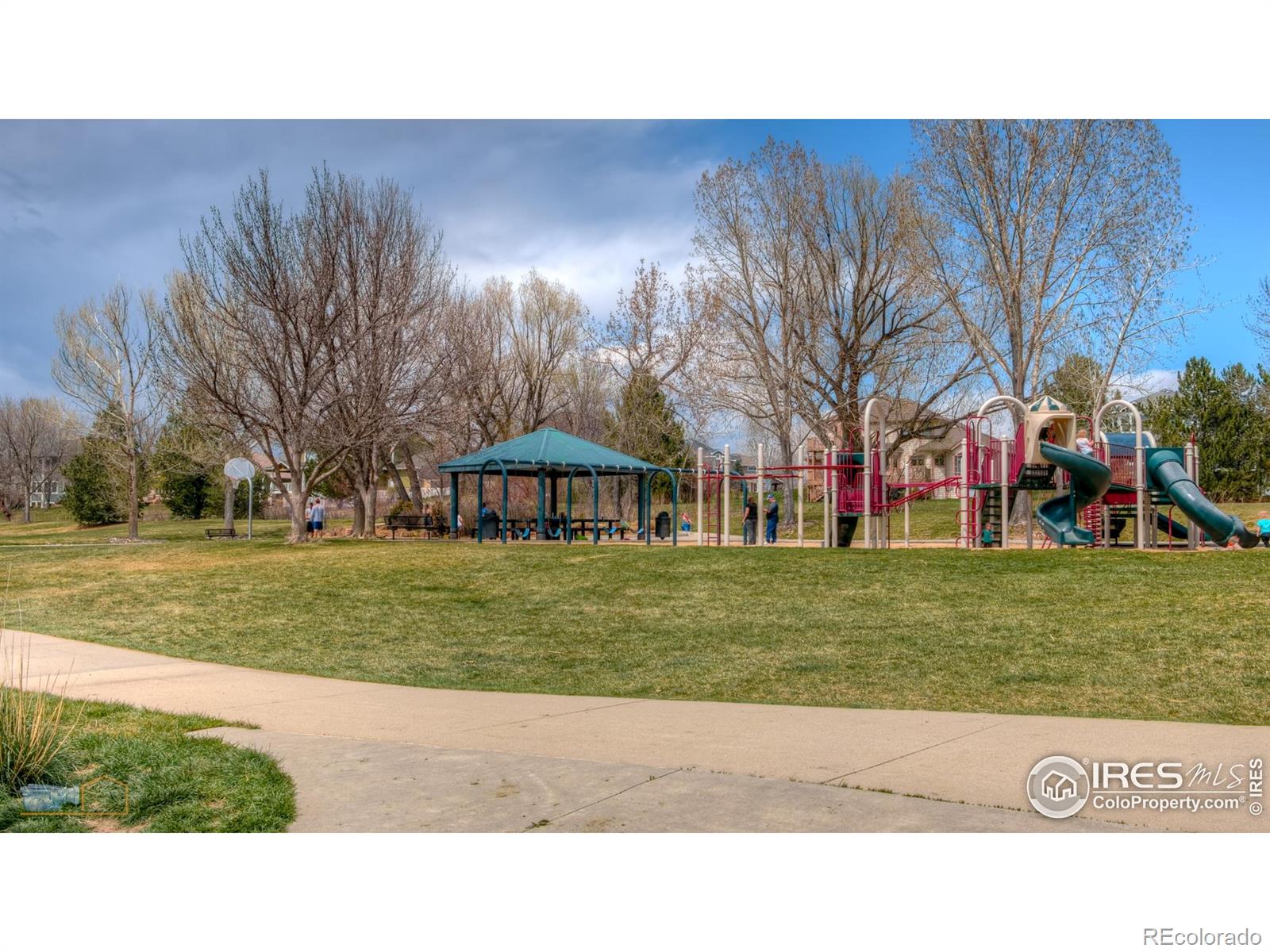 MLS Image #37 for 2521  danbury drive,longmont, Colorado