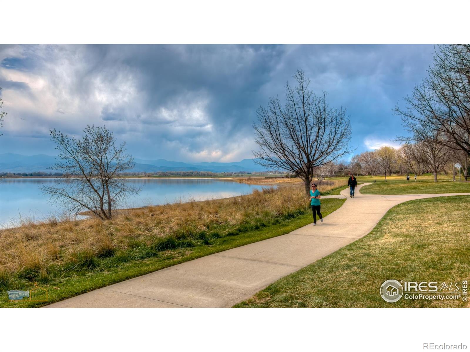 MLS Image #42 for 2521  danbury drive,longmont, Colorado