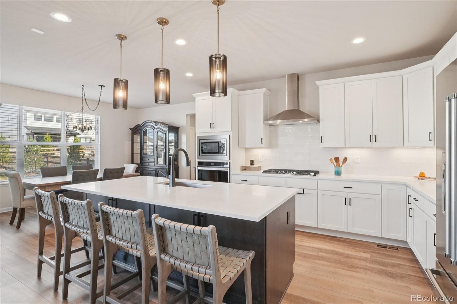 MLS Image #10 for 624  simmental loop,castle rock, Colorado