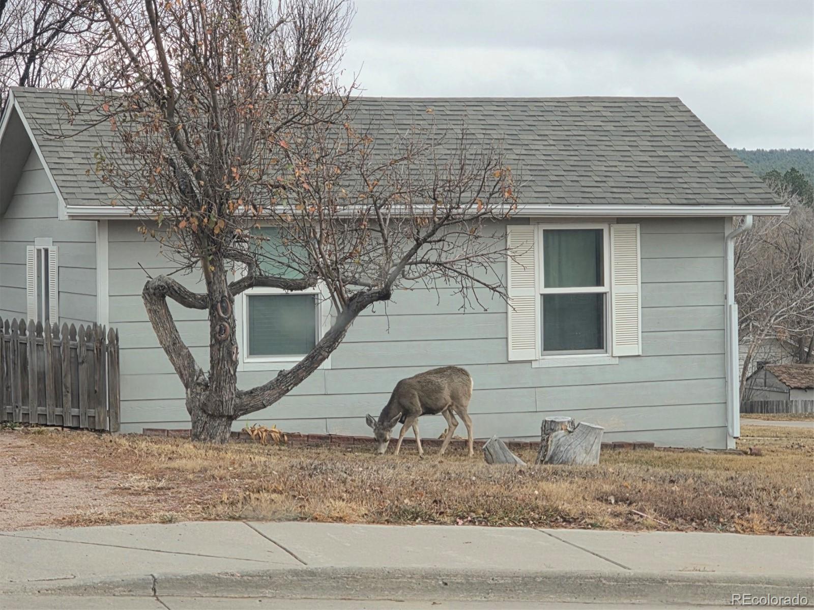 MLS Image #17 for 275  settlement lane,elizabeth, Colorado