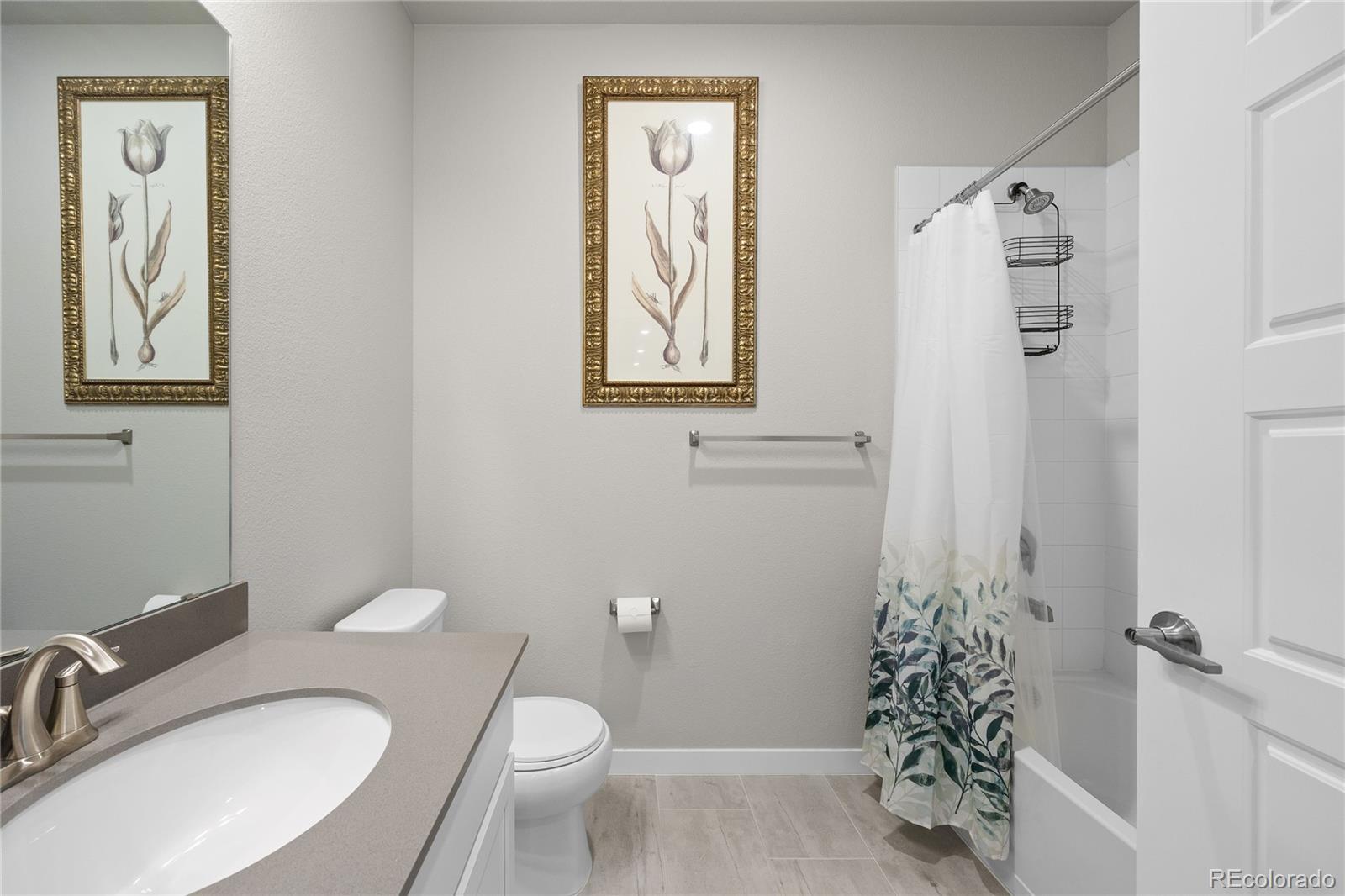 MLS Image #10 for 9291  twenty mile road,parker, Colorado