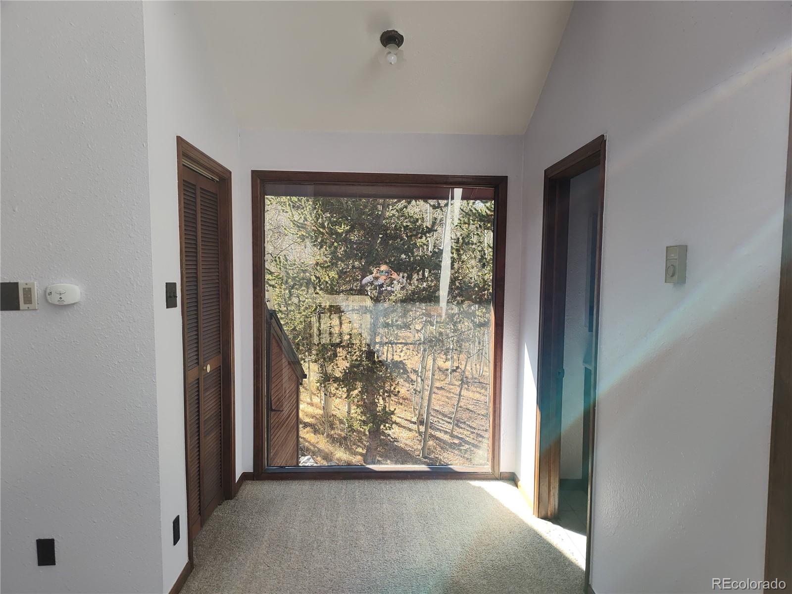 MLS Image #13 for 2584  high creek road,fairplay, Colorado