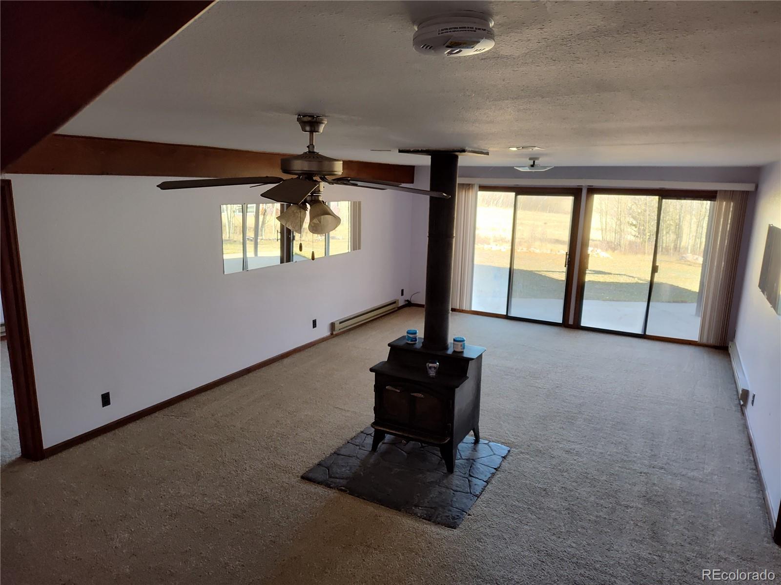 MLS Image #14 for 2584  high creek road,fairplay, Colorado