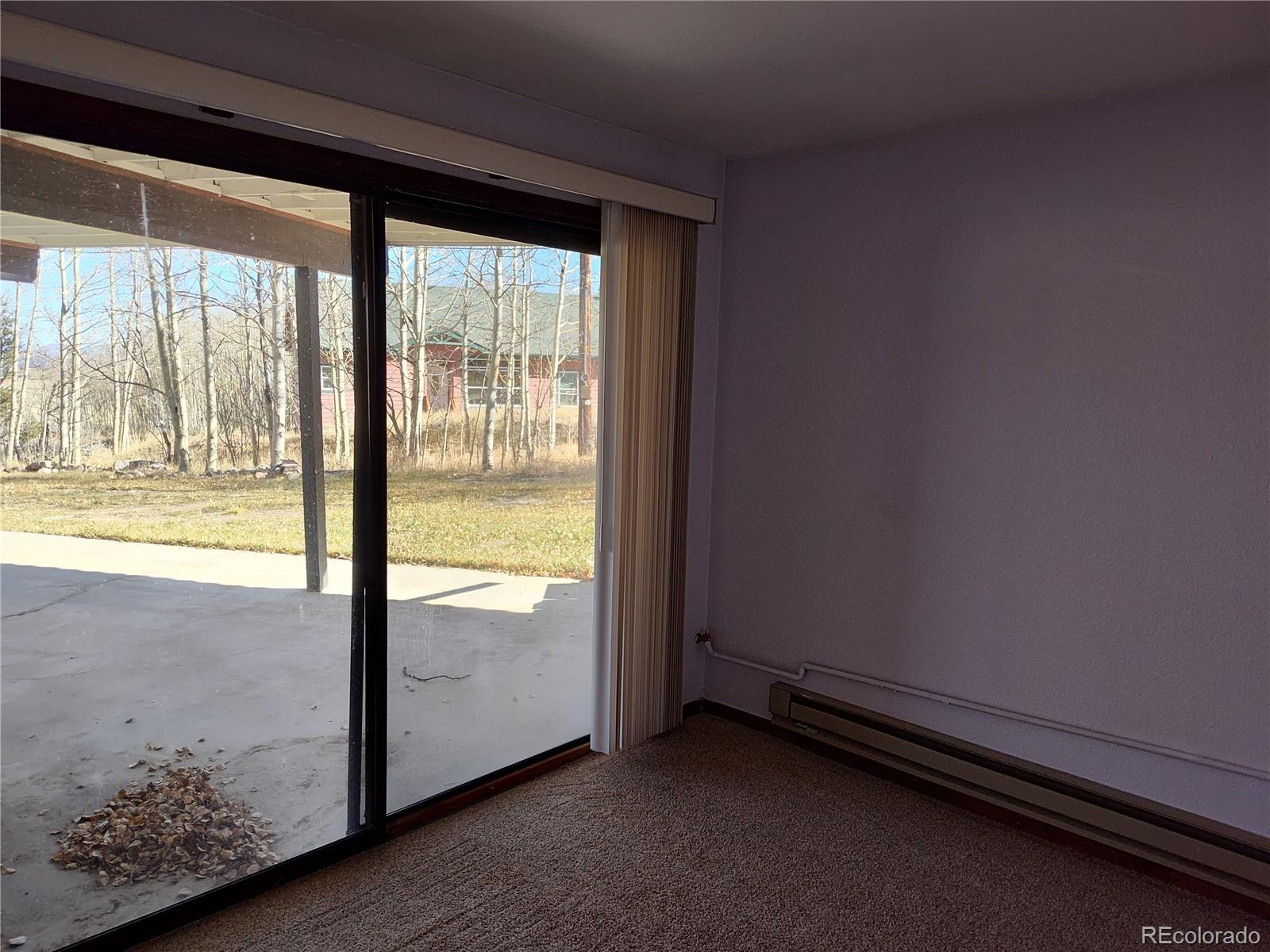 MLS Image #16 for 2584  high creek road,fairplay, Colorado