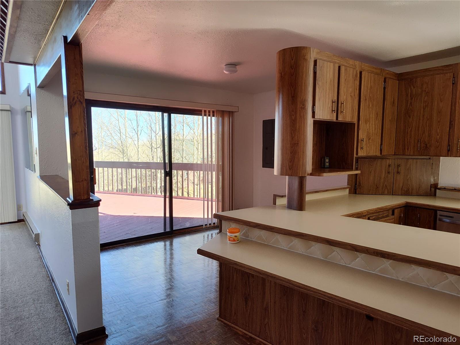 MLS Image #6 for 2584  high creek road,fairplay, Colorado