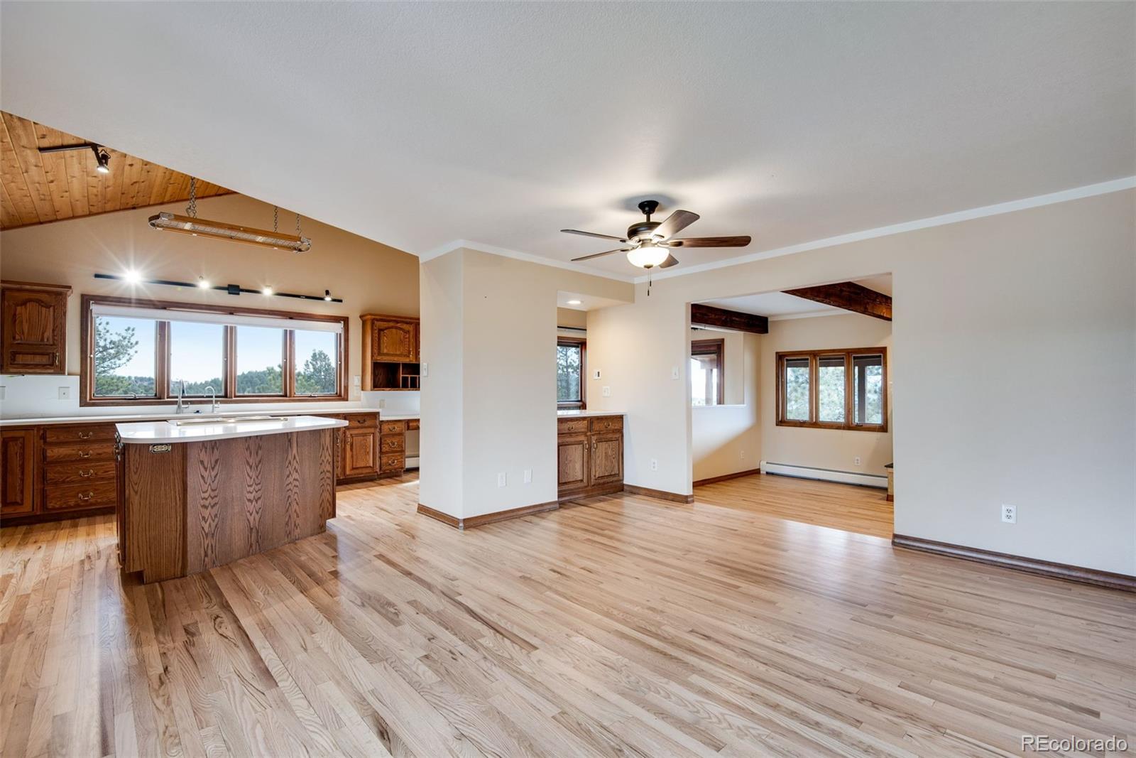 MLS Image #5 for 14803  wandcrest drive,pine, Colorado