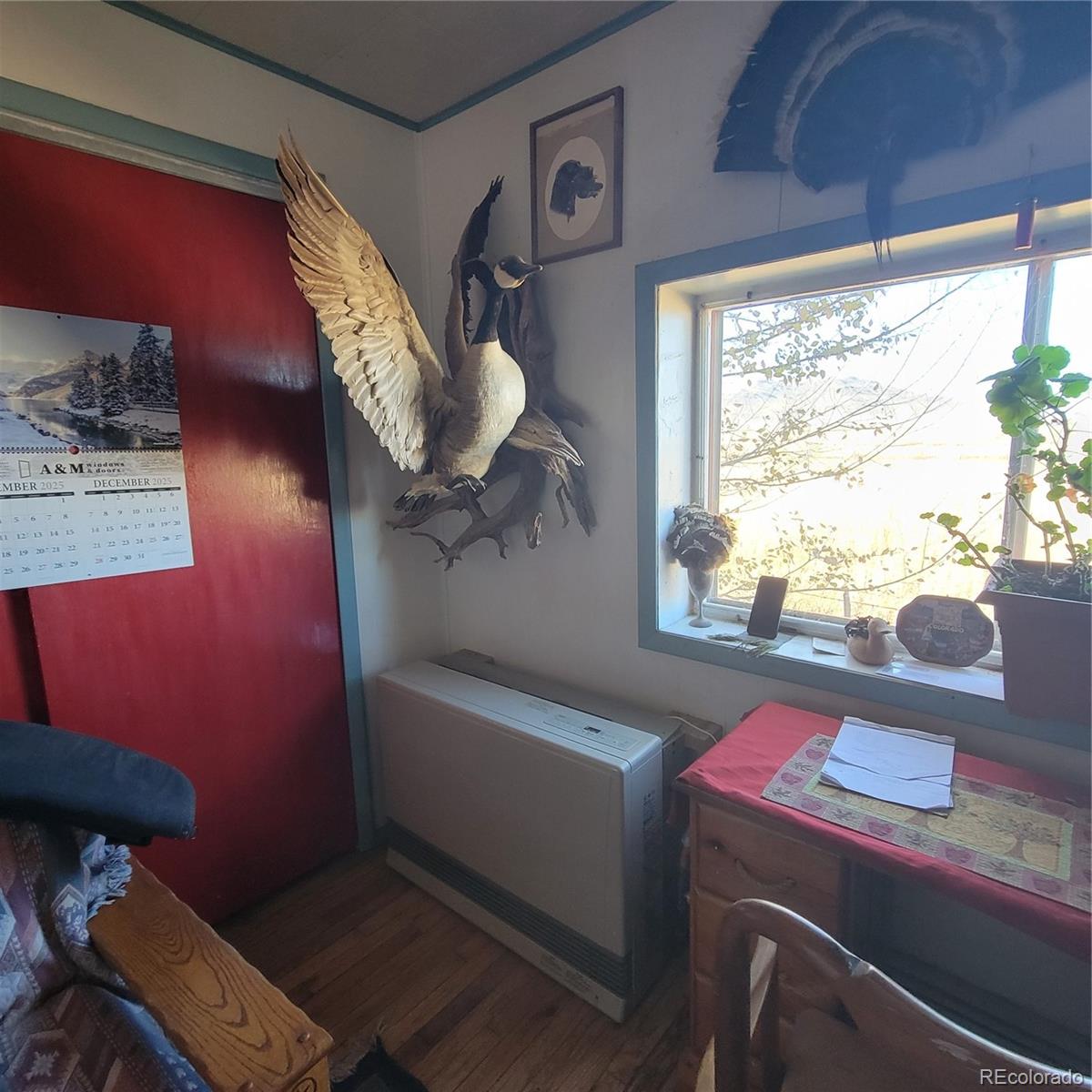 MLS Image #21 for 18899  county road 28 ,sanford, Colorado