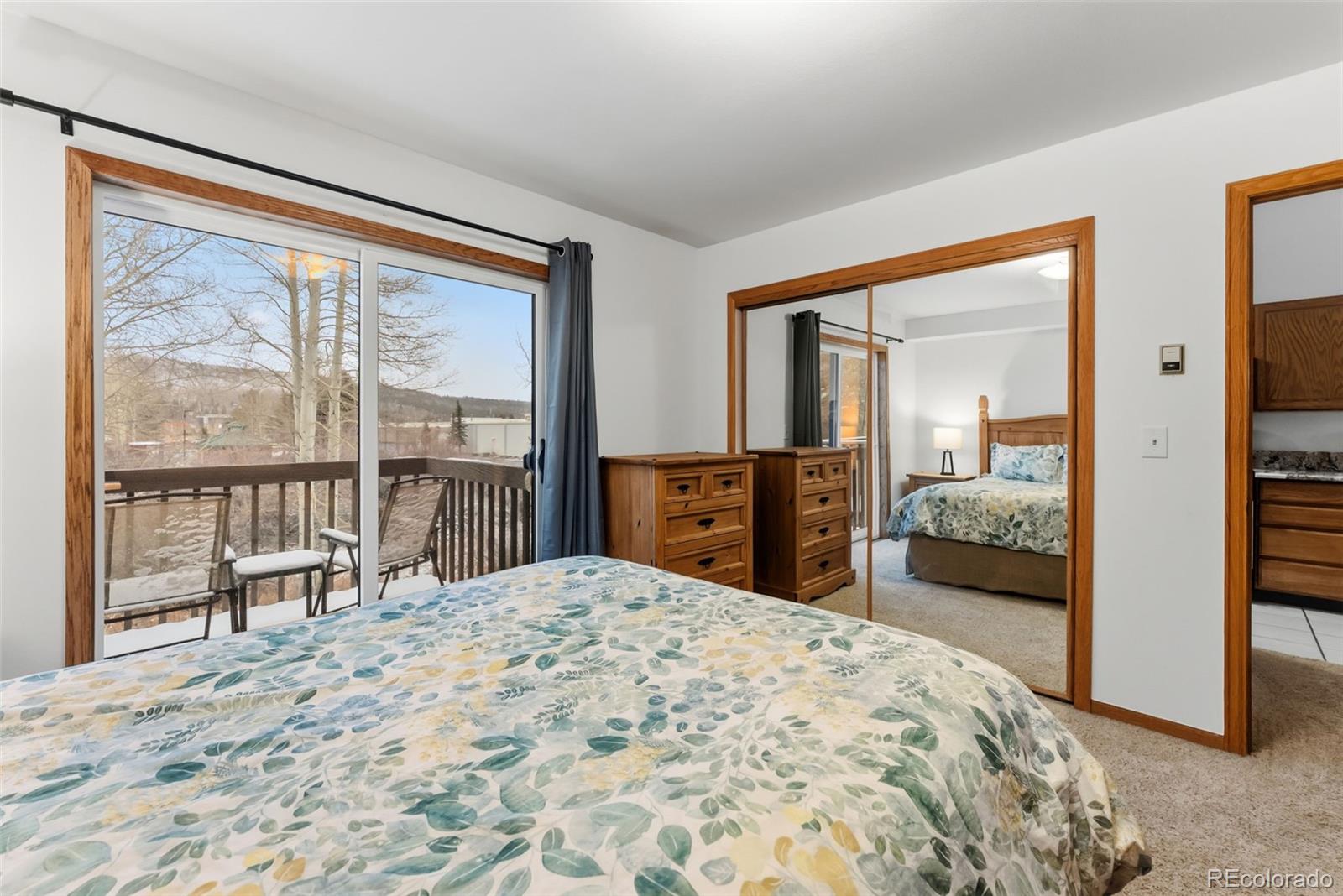MLS Image #18 for 120  hawn drive,frisco, Colorado