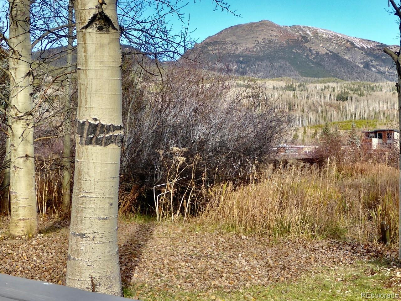 MLS Image #20 for 120  hawn drive,frisco, Colorado