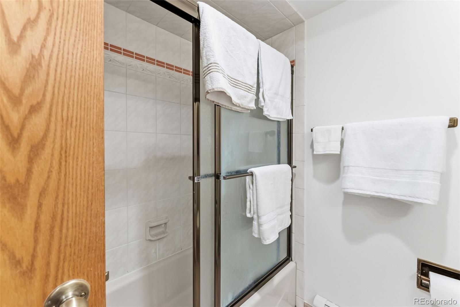 MLS Image #22 for 120  hawn drive,frisco, Colorado