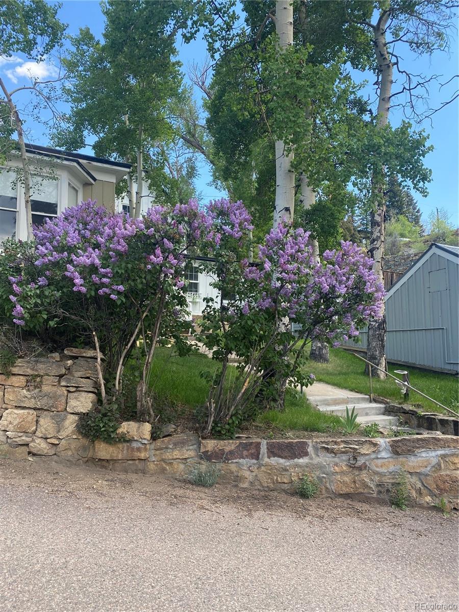 MLS Image #40 for 202 e 1st high street,central city, Colorado