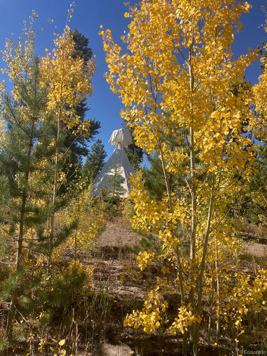MLS Image #17 for 10658  us highway 34 ,grand lake, Colorado