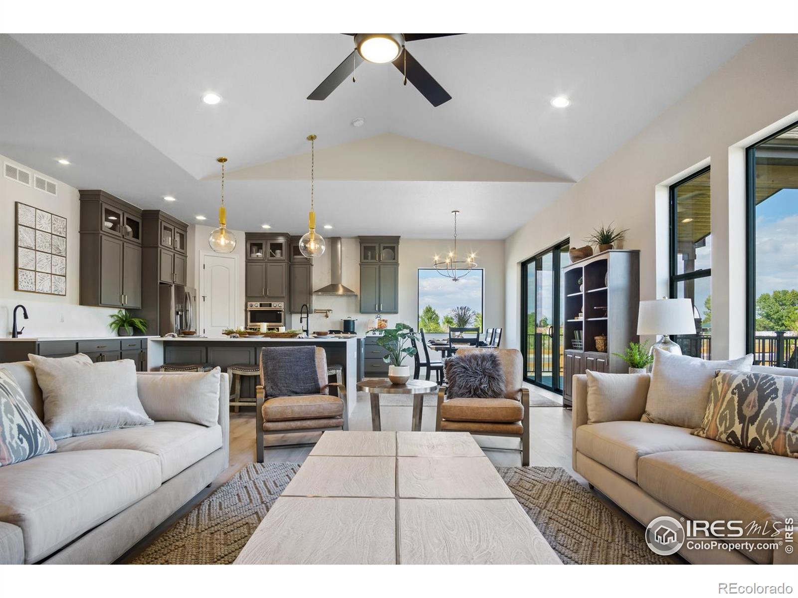 MLS Image #10 for 206  blue fortune drive,windsor, Colorado