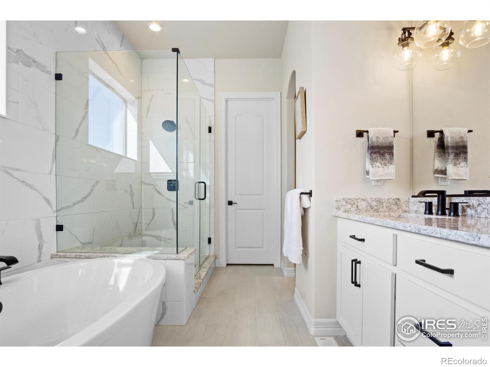 MLS Image #13 for 206  blue fortune drive,windsor, Colorado