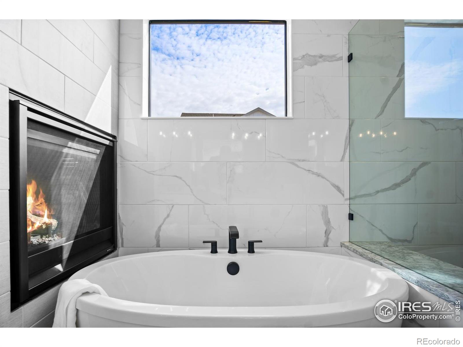 MLS Image #15 for 206  blue fortune drive,windsor, Colorado