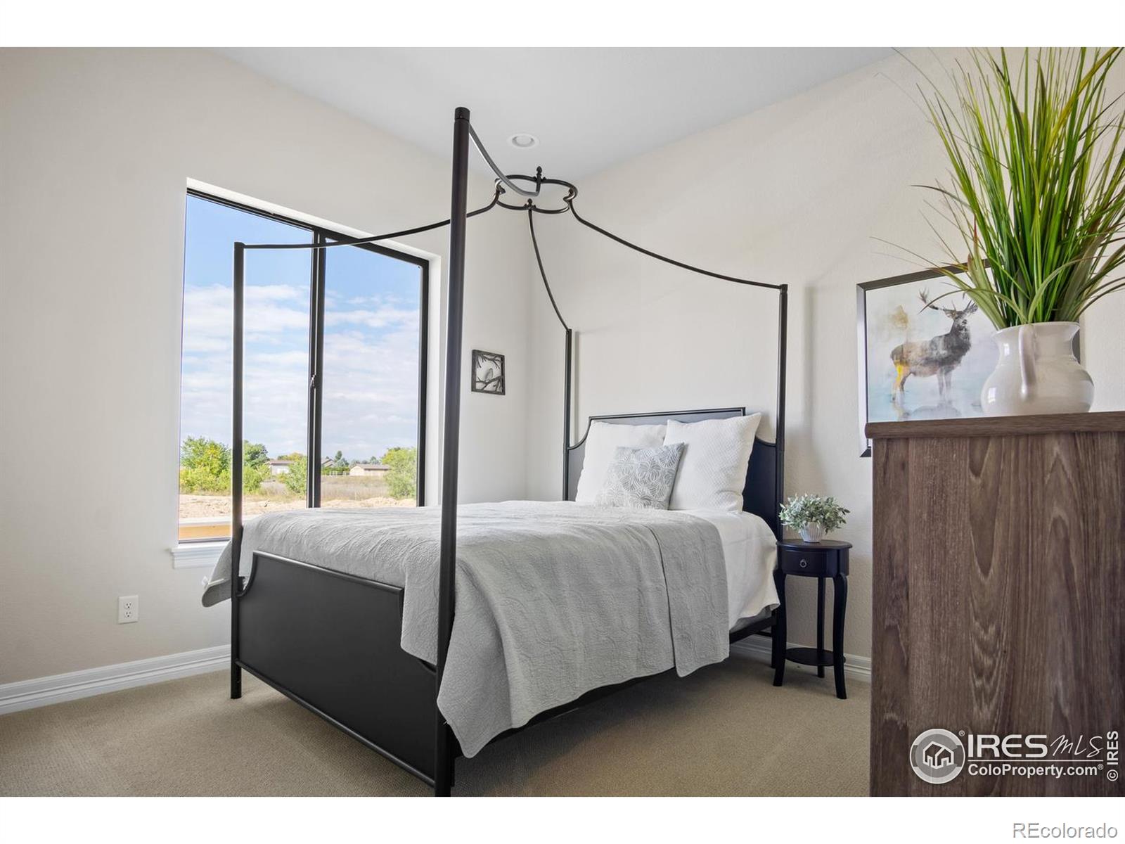 MLS Image #16 for 206  blue fortune drive,windsor, Colorado