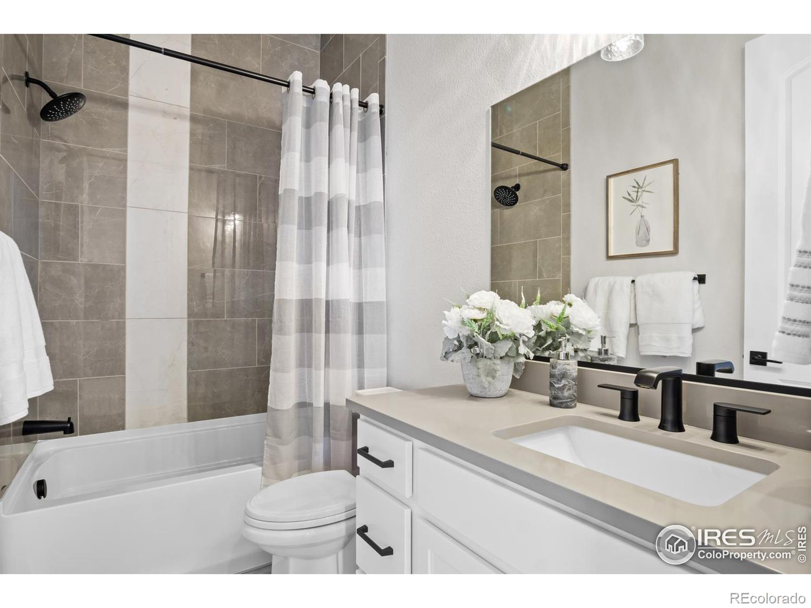 MLS Image #17 for 206  blue fortune drive,windsor, Colorado