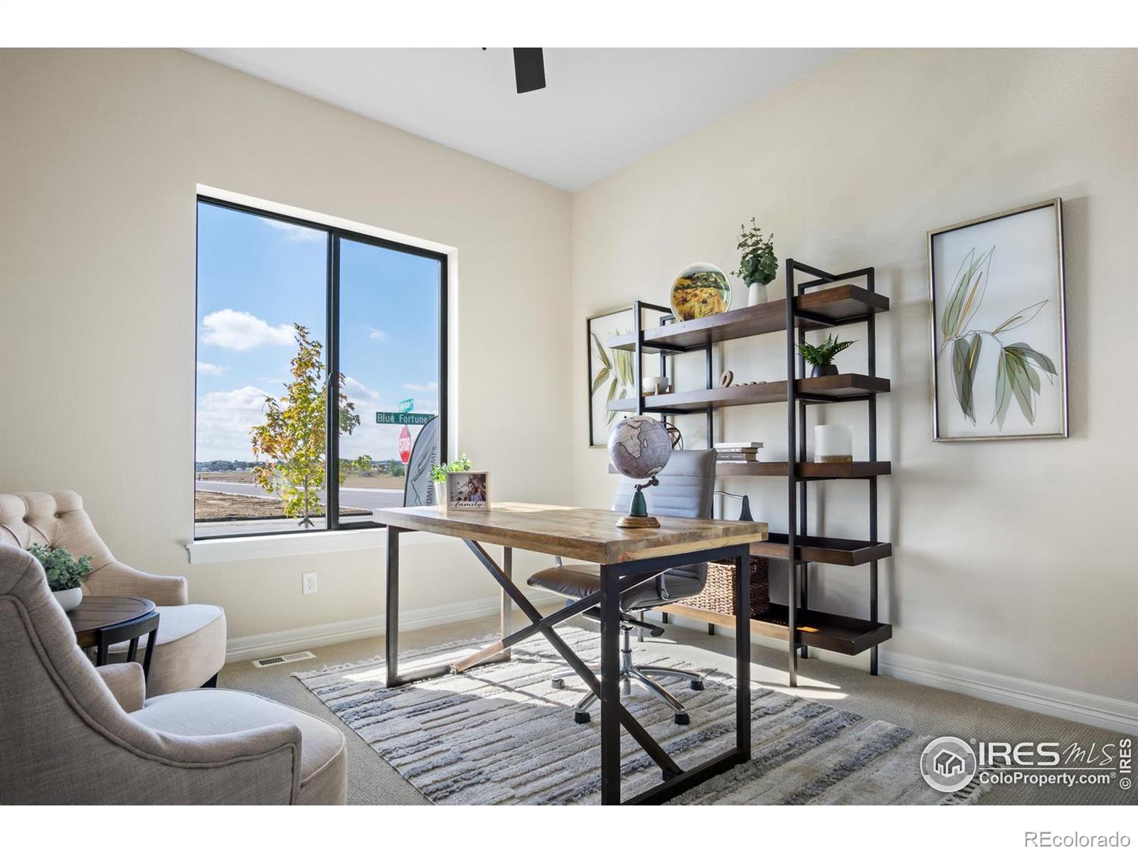 MLS Image #18 for 206  blue fortune drive,windsor, Colorado