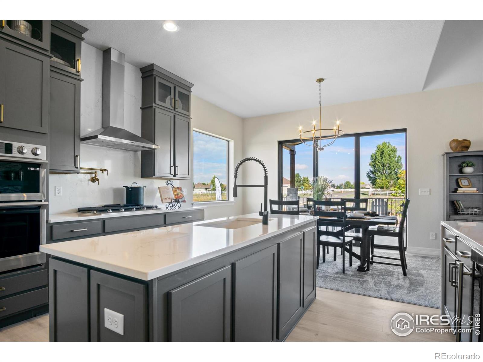 MLS Image #8 for 206  blue fortune drive,windsor, Colorado