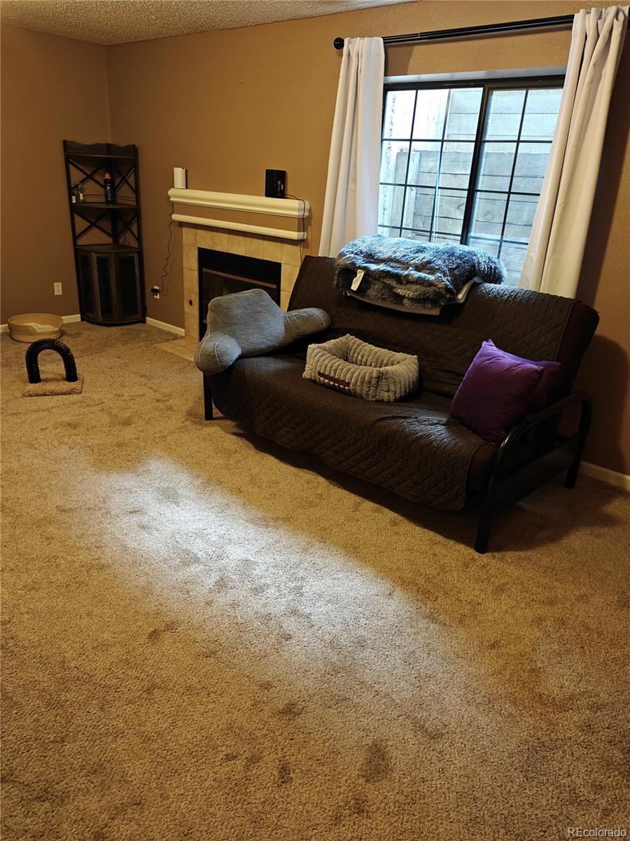 MLS Image #25 for 11183 e baltic place,aurora, Colorado
