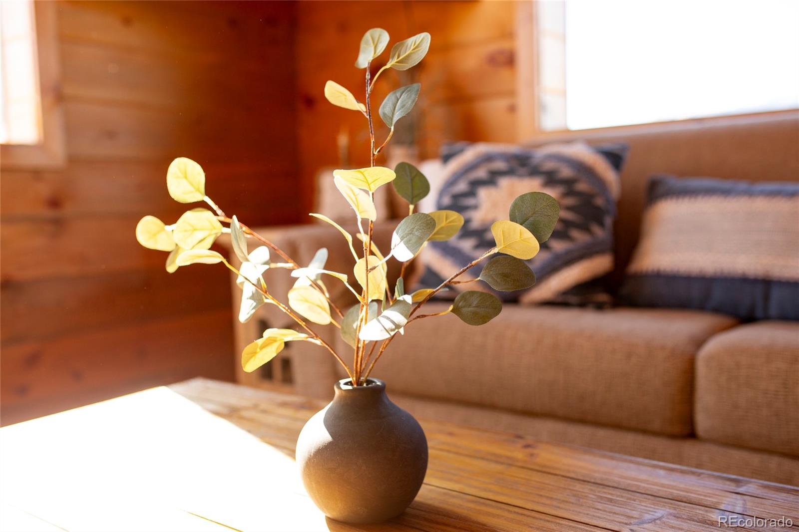 MLS Image #3 for 415  ridge drive,creede, Colorado
