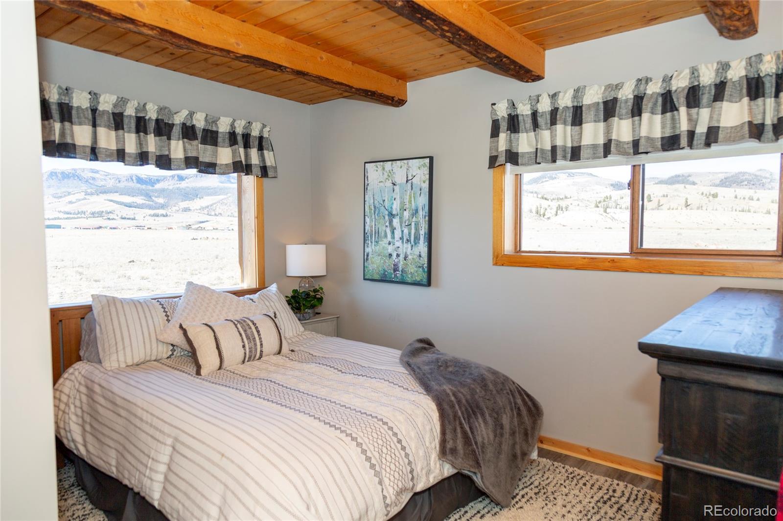 MLS Image #6 for 415  ridge drive,creede, Colorado