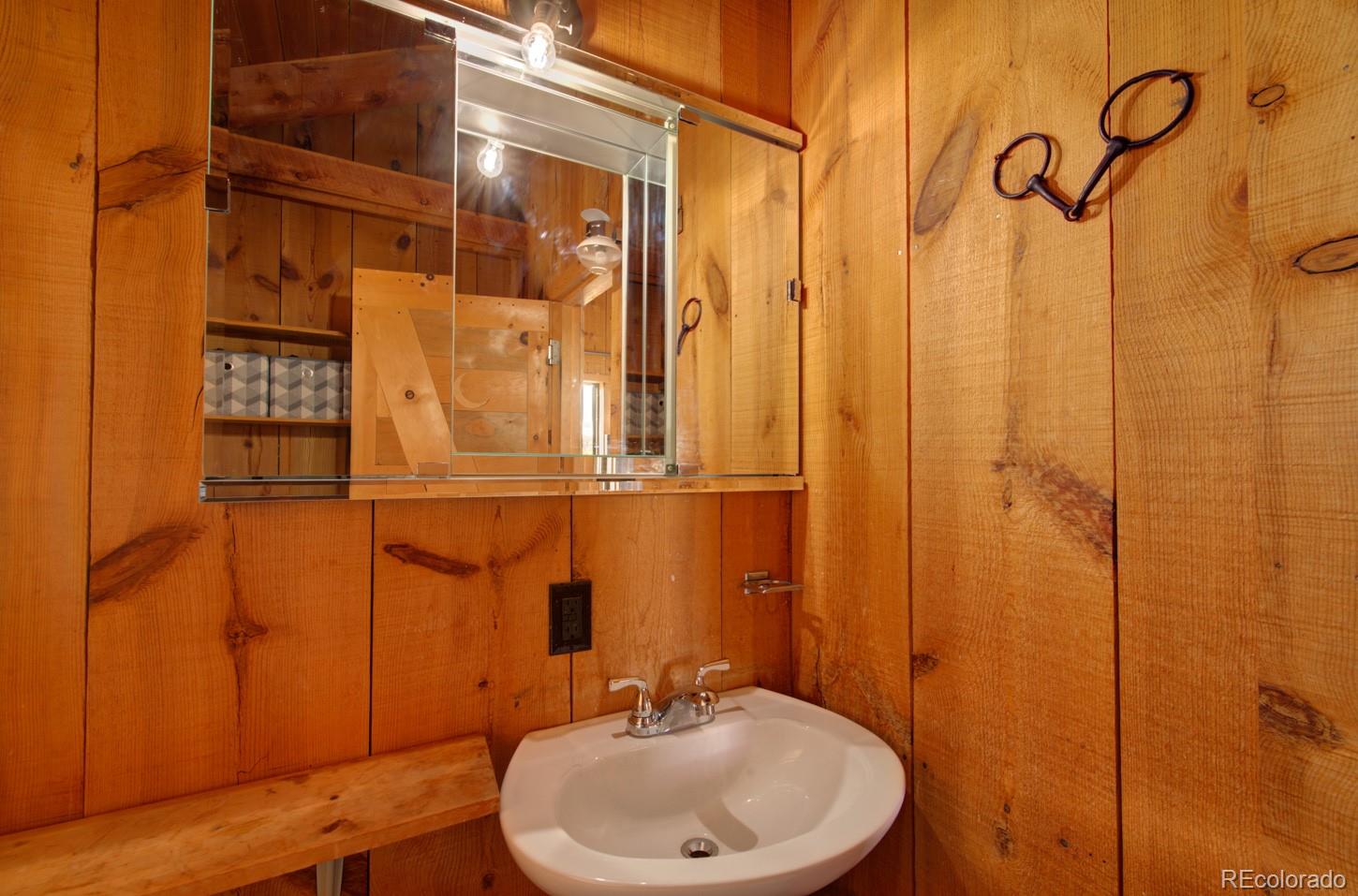 MLS Image #14 for 1159  pfotenhauer road,fort garland, Colorado