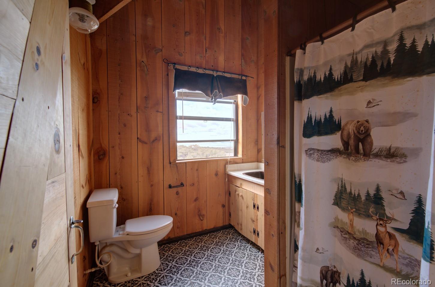 MLS Image #17 for 1159  pfotenhauer road,fort garland, Colorado
