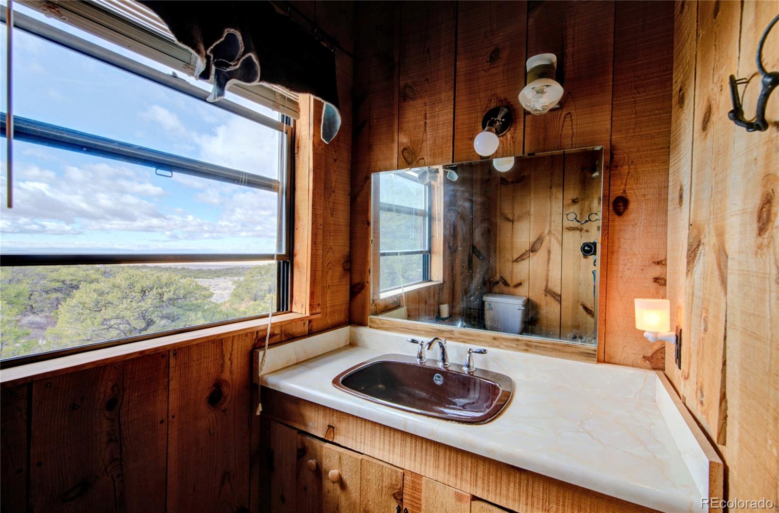 MLS Image #18 for 1159  pfotenhauer road,fort garland, Colorado