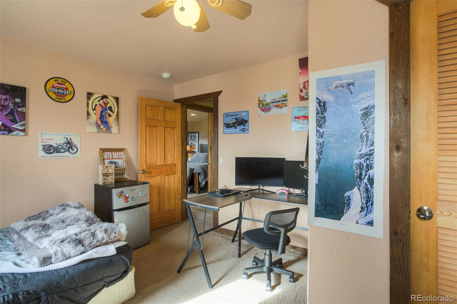 MLS Image #20 for 73  mid land avenue,hartsel, Colorado