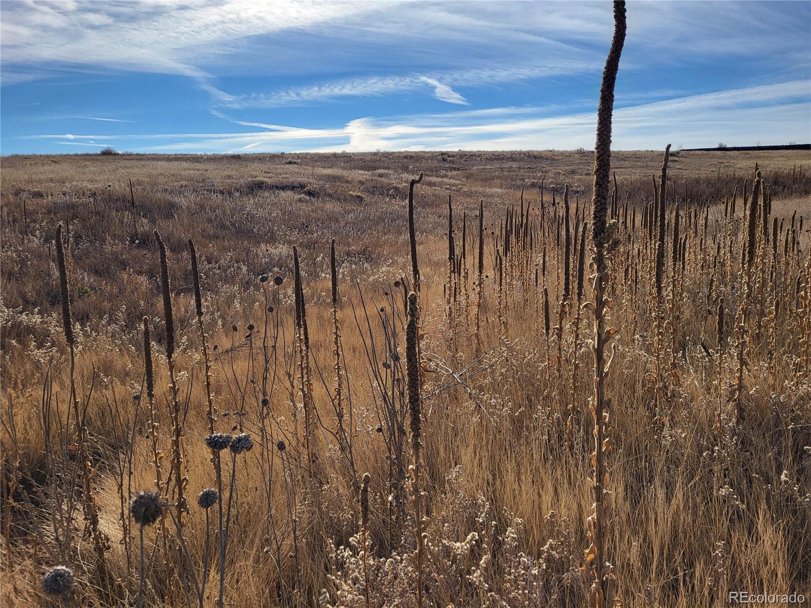 MLS Image #24 for 35635  county road 160 ,agate, Colorado
