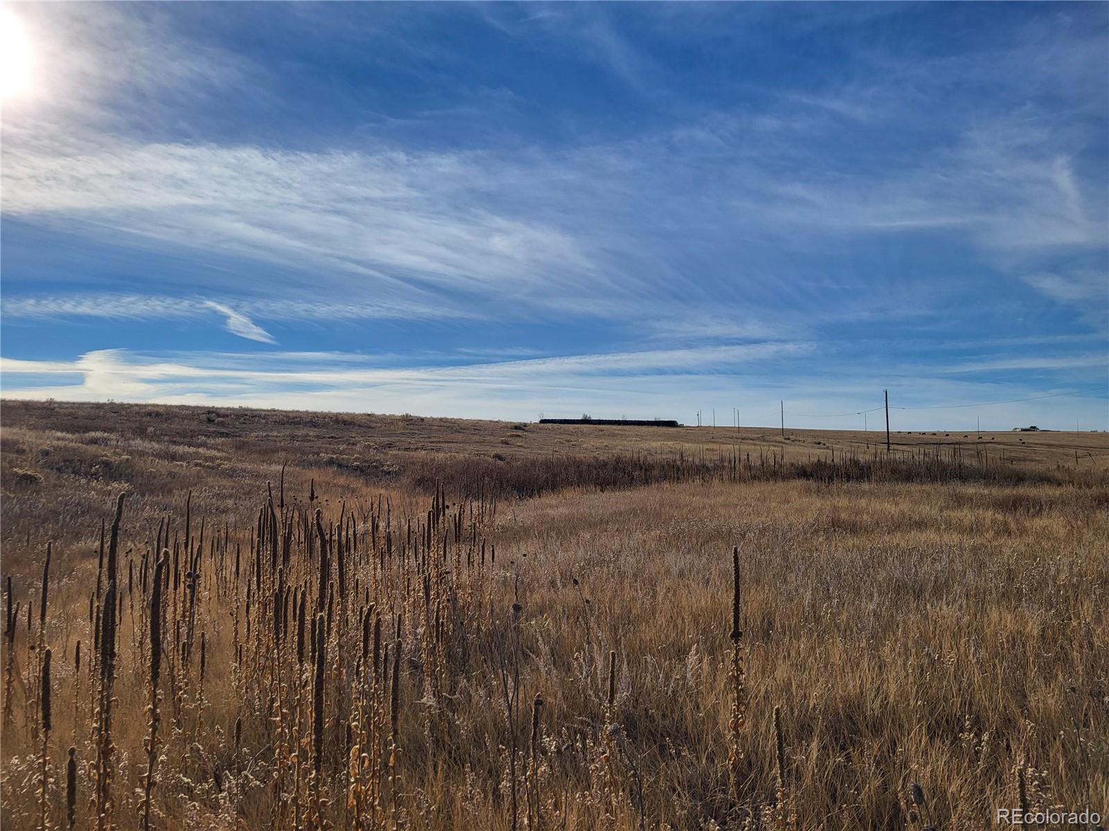 MLS Image #26 for 35635  county road 160 ,agate, Colorado