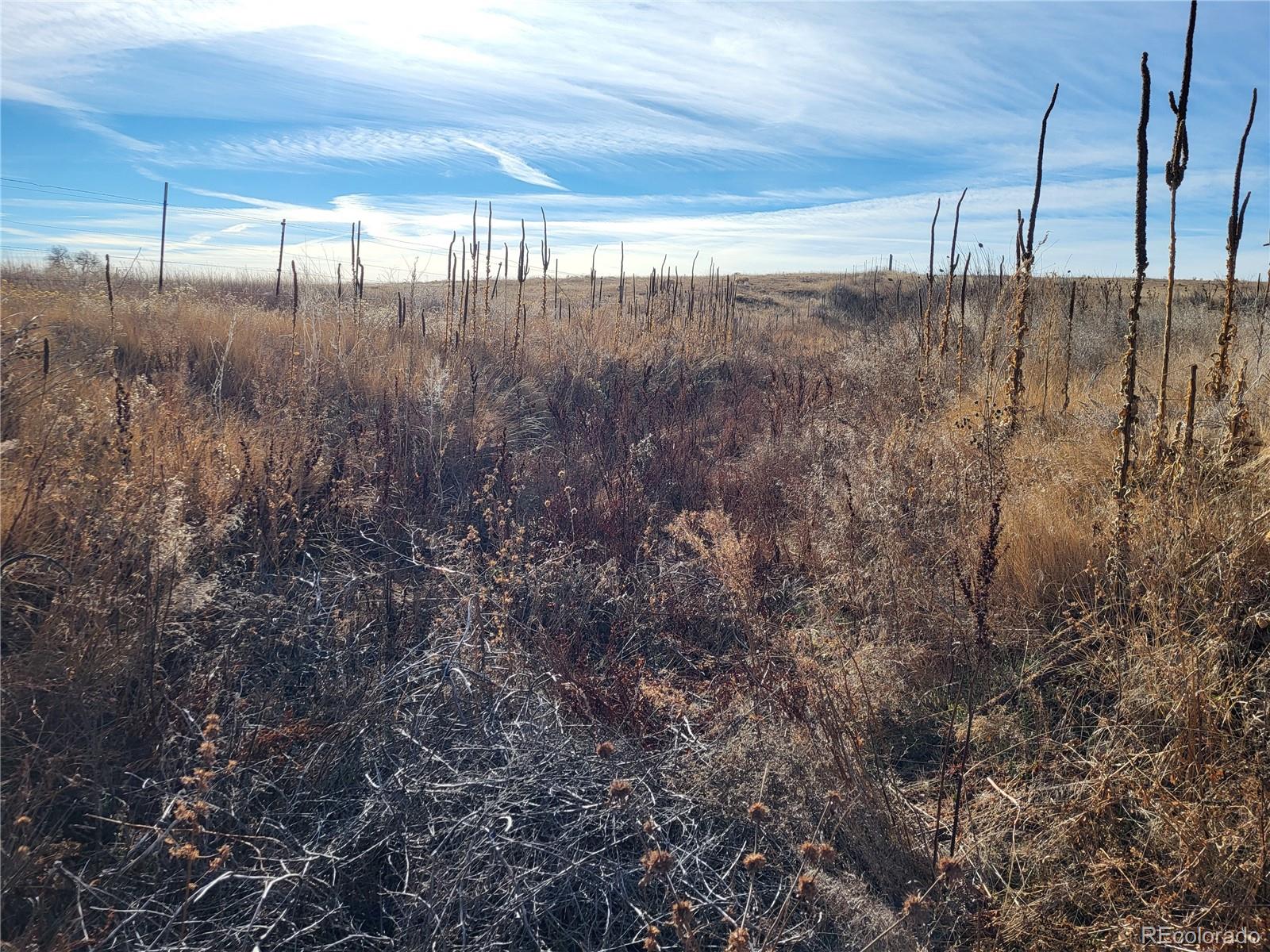 MLS Image #30 for 35635  county road 160 ,agate, Colorado