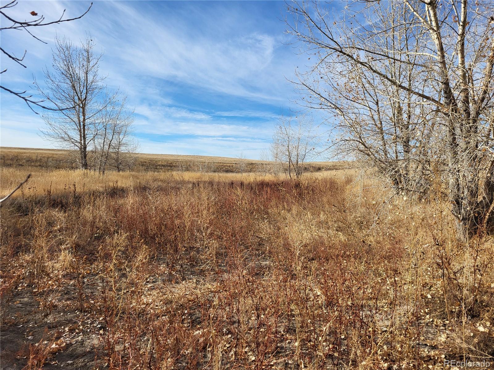MLS Image #31 for 35635  county road 160 ,agate, Colorado