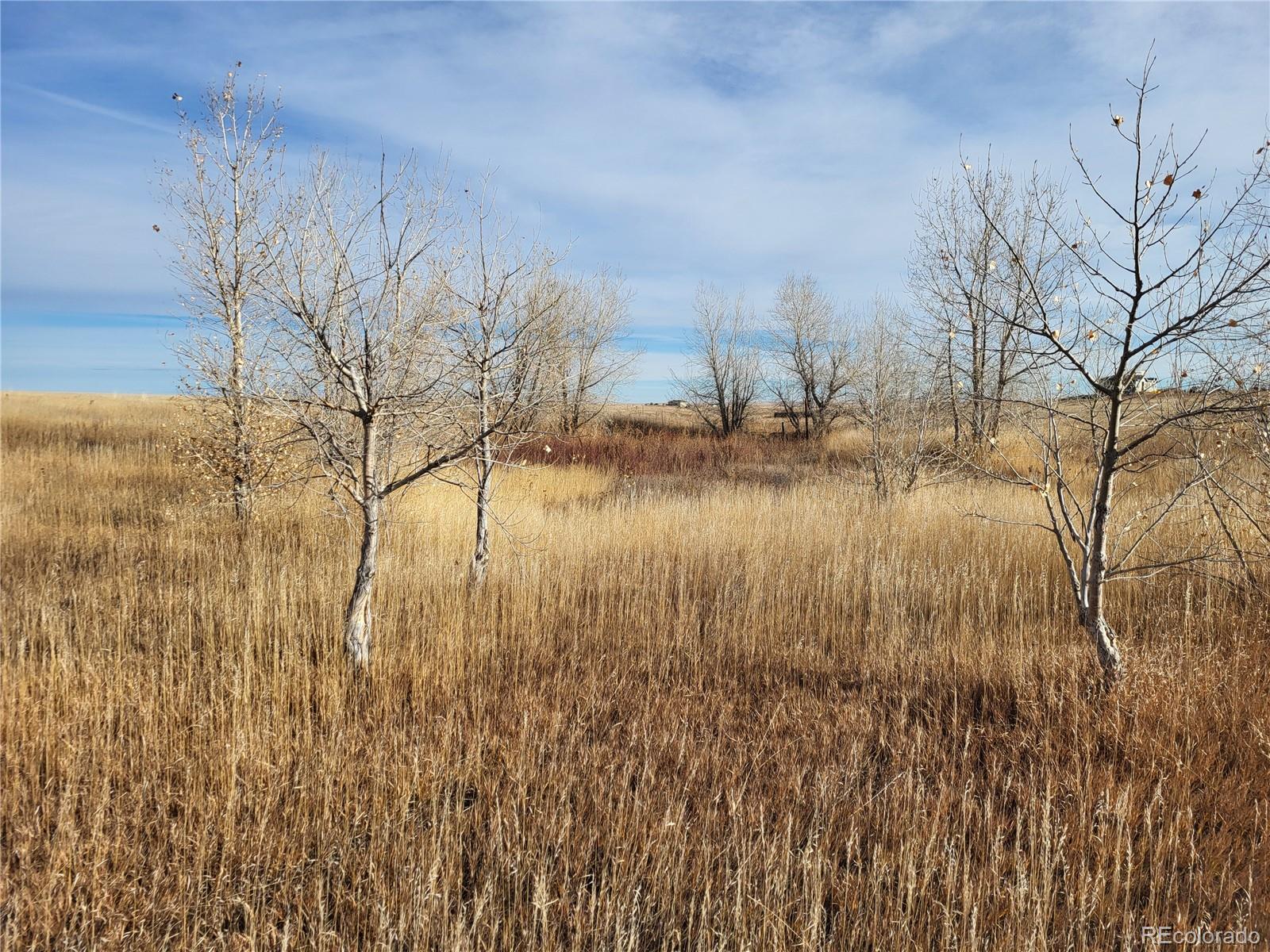 MLS Image #32 for 35635  county road 160 ,agate, Colorado